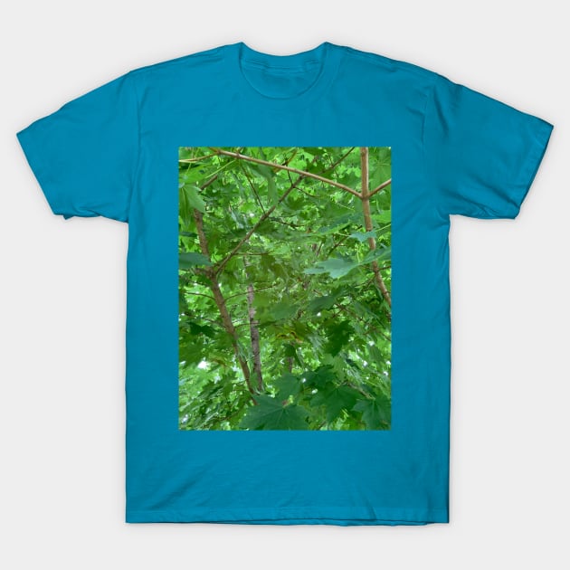 Inside The Maple Tree T-Shirt by Amanda1775